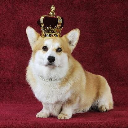 The Windsors