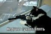 новый патчи для css