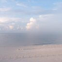 David boner - @deboner24 - Twitter