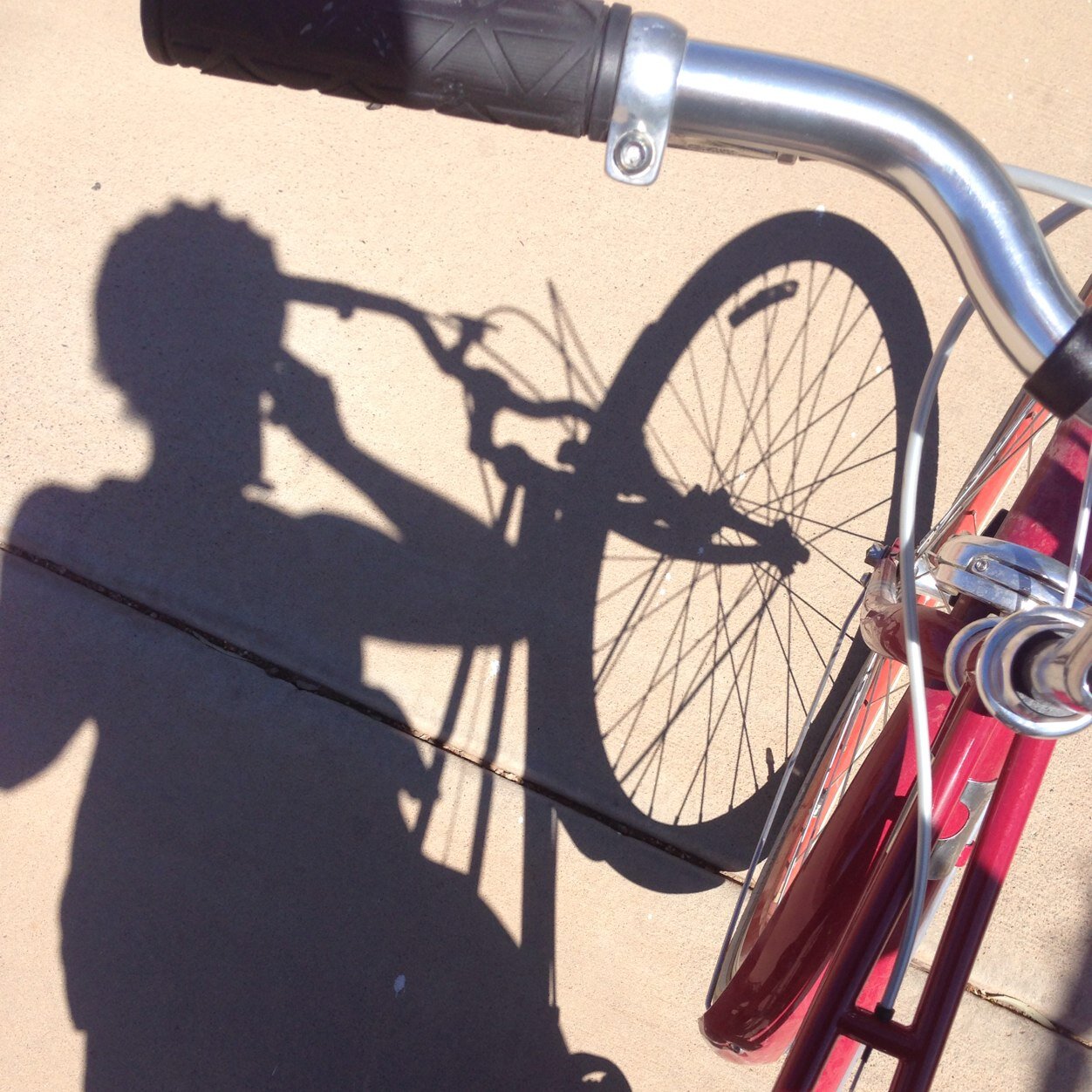 jantheverb's profile picture. 