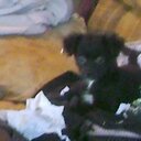 Willie Mae Barclay - @WMBarc - Twitter