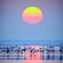 Militza Moreno - @JaraMilitza - Twitter