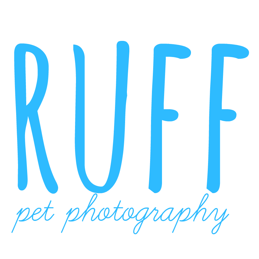Ruff Pet Photography
