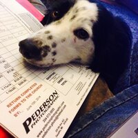 Todd Pederson (@pederson_photo) 's Twitter Profile