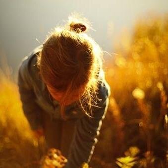 SohilaElanwar's profile picture. 