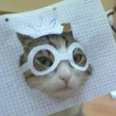 AXandOX's profile picture. 