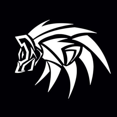 i am a competitive    player for @DireESports sponsored by @Neon_Energy and @cinchgaming