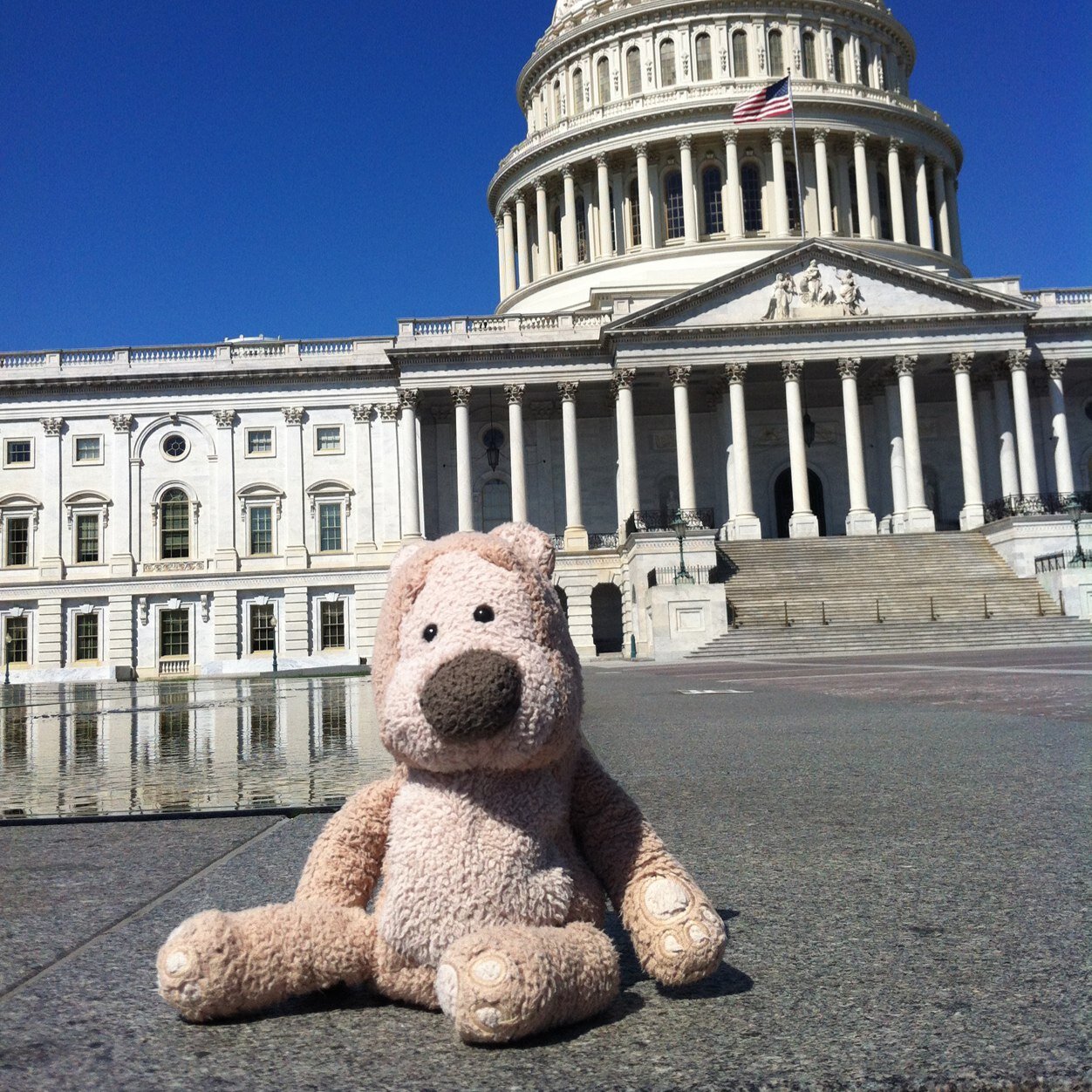 tedmund ted soft toy
