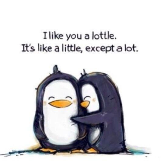 RayFindsTweets's profile picture. Hey there! Bridget and Brett here.