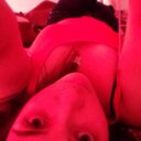 susan_alejandra - @susan_ale - Twitter