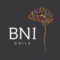 NeuroBNI (@institutobni) 's Twitter Profile