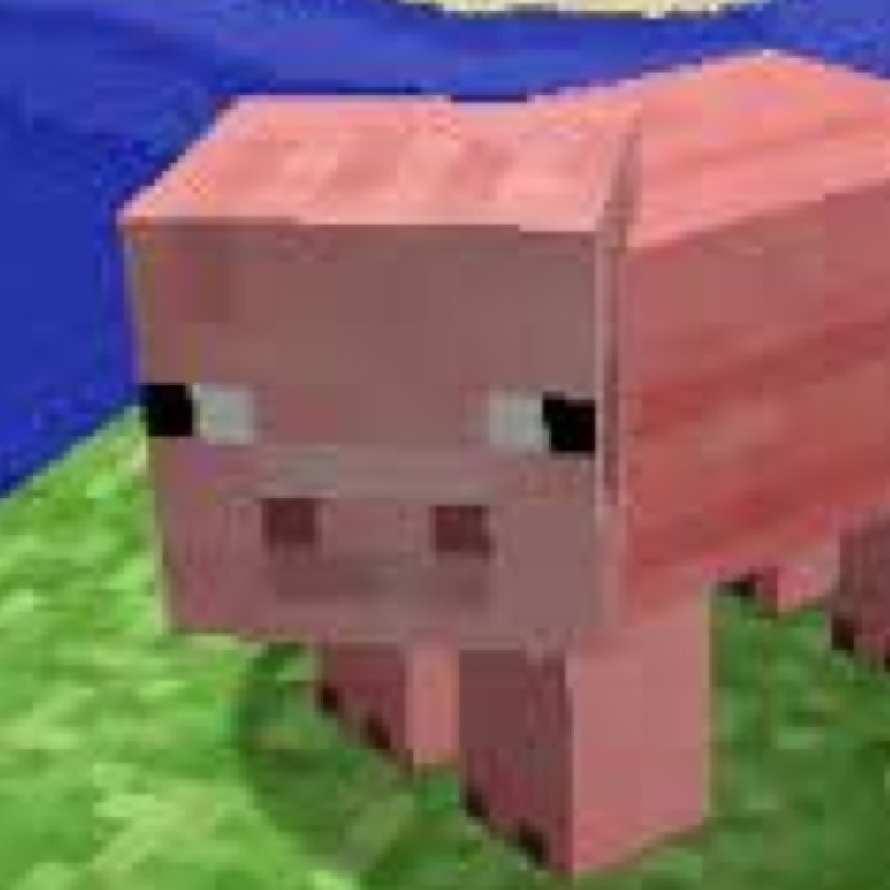 Pig_minecr's profile picture. Don't kill me...