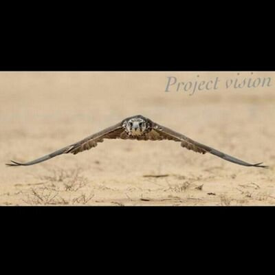 7777Bayanakil's profile picture. 