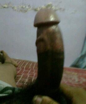 Top  pin:27db2bc8 WA 083830742247