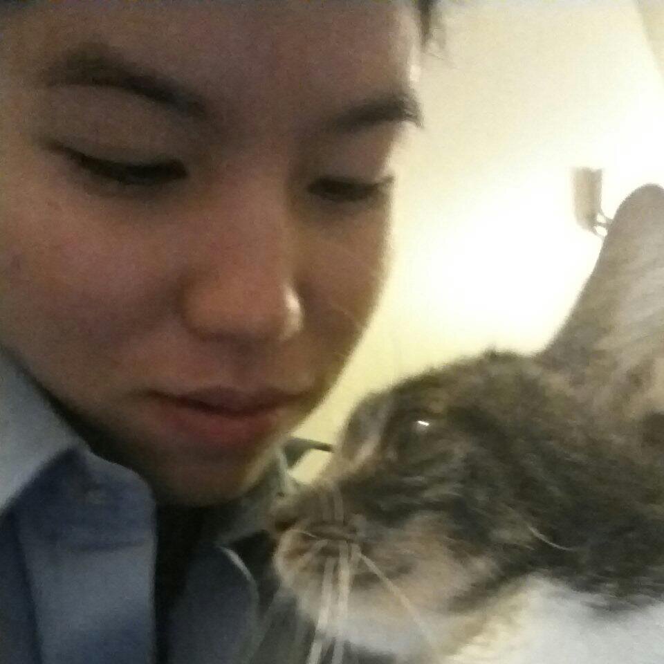Software developer, animal lover, learning data science