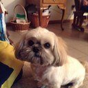 jackie dube - @jackiedube - Twitter