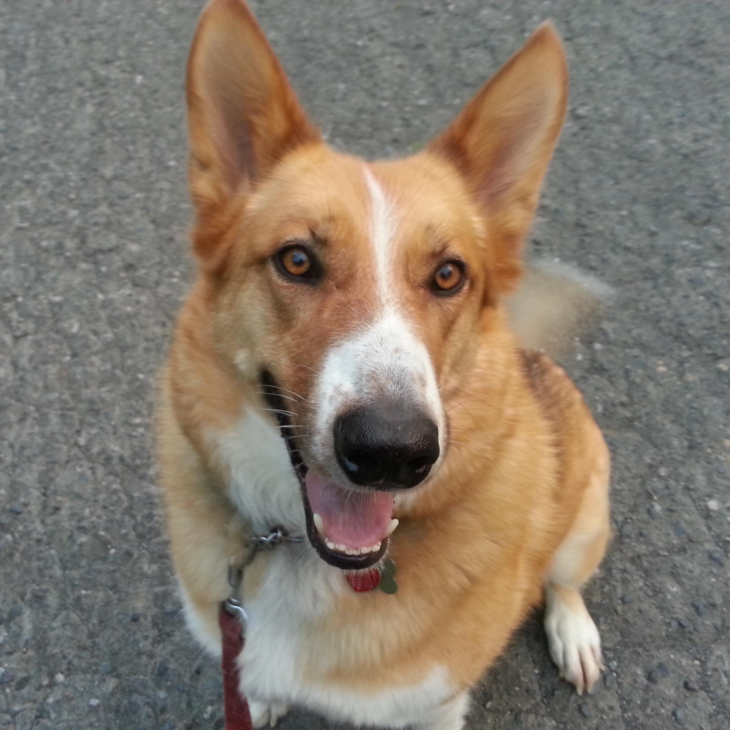 lesleyoc1975's profile picture. 