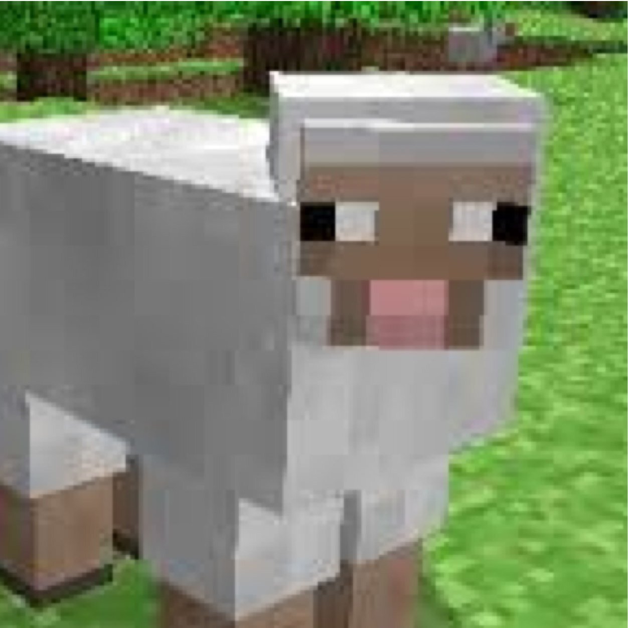 Sheep_minecr's profile picture. Don't kill me...