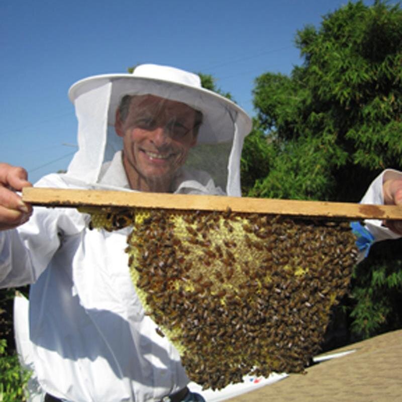 pgagneux's profile picture. 