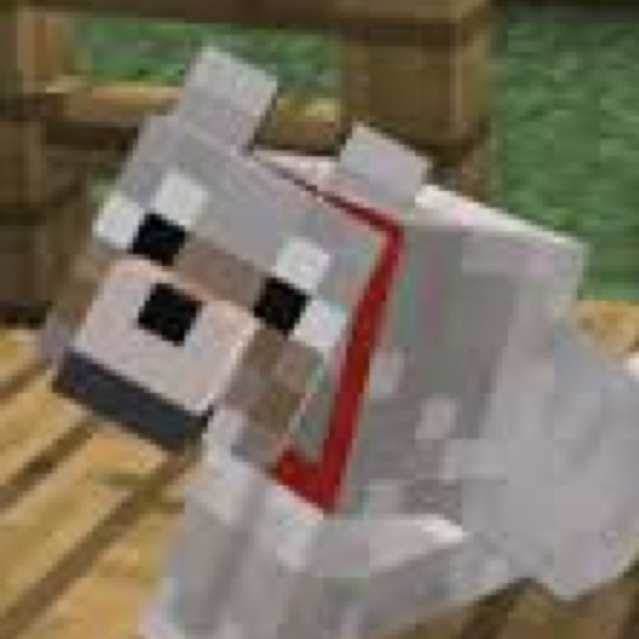 Wolf_minecr's profile picture. Tame me...