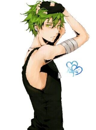 I am †Flippy†, a veteran who fought for the war. I'm a pretty nice guy, except when I flip out. I am 16½ years old. Im taken by my sweet gf Cindy  ;)