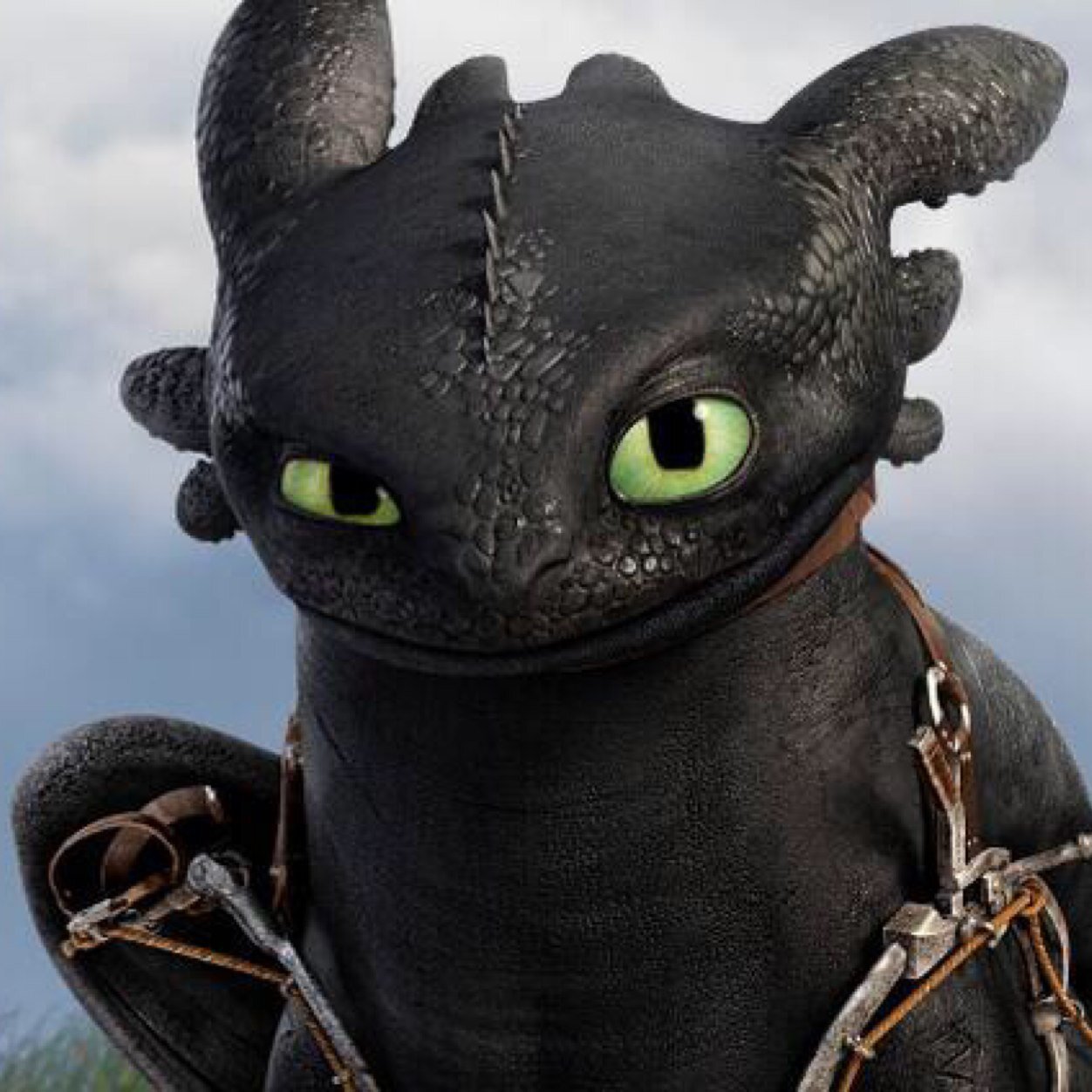 Hiccup's best friend. Defeated the Alpha. Possibly the last Night Fury.