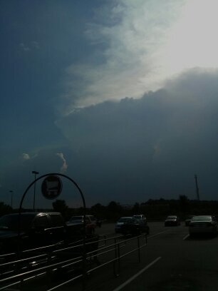 Expert storm chaser