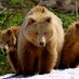 Momma Bears (@mommabears4edu) Twitter profile photo Momma Bears (@mommabears4edu) Twitter profile photo