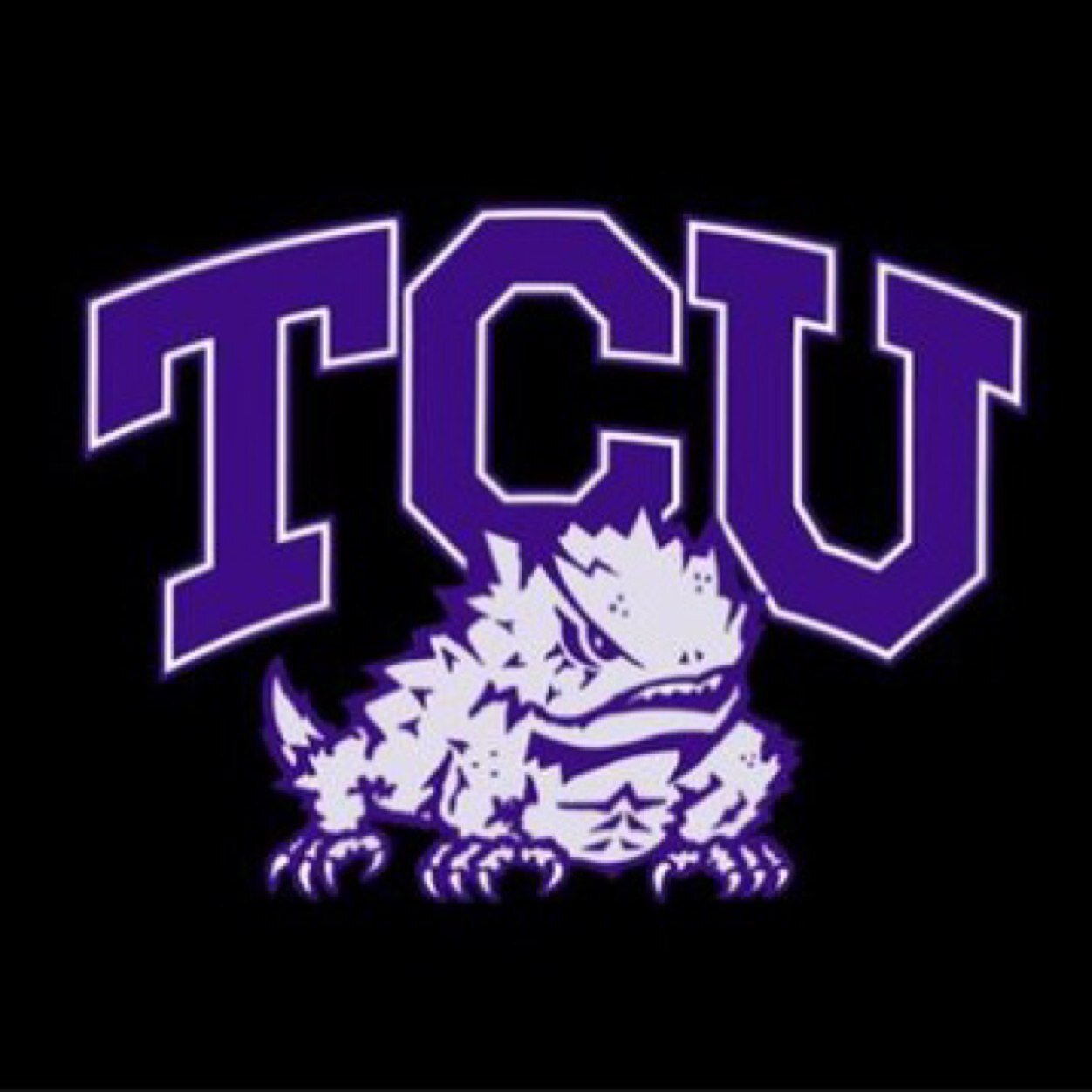 TCU Horned Frog, Kellogg MBA, and MCHS Tiger alum - sports, financial markets, humor.