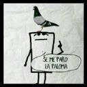 Bixesual (Act) serio, discreto, amante del buen sexo y del placer, sin gorro no hay fiesta.