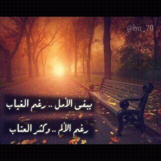 الاهلي عشقق لاينتههي