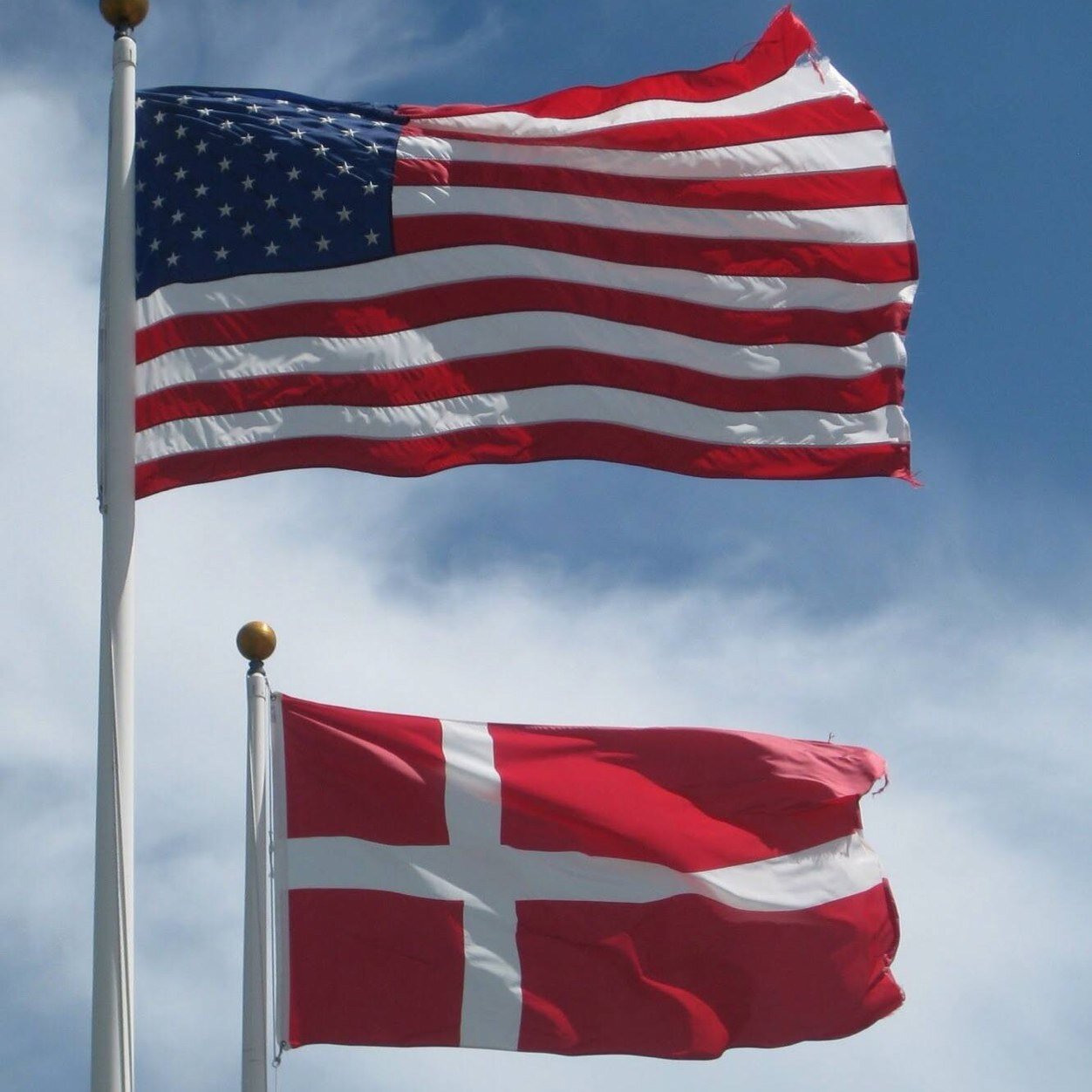 scansaleco's profile picture. 