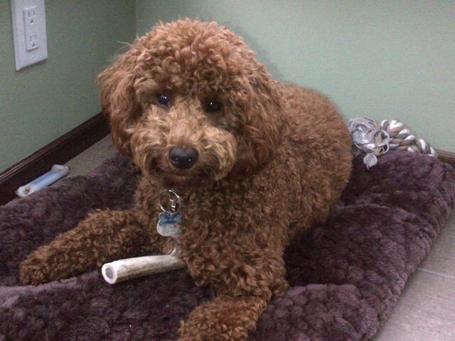 jencamruss's profile picture. Marketer. Intrapreneur. Plodding runner.