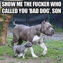 Jason Casanova - @jasianocasanova - Twitter