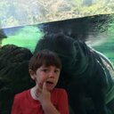 ty harrell - @tharrell6 - Twitter