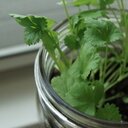 Rachel Cato - @bakedsimply - Twitter