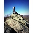 Samkay17's profile picture. lost in a dream and cant find my way out. ✌🏻️