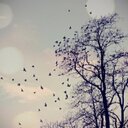 غَيٌونَه  - @gadeer_ali122 - Twitter