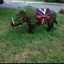 Foodie at heart, hotelier,love football, baseball, basketball and those Virginia Cavaliers. Wahoowa (her, hers)