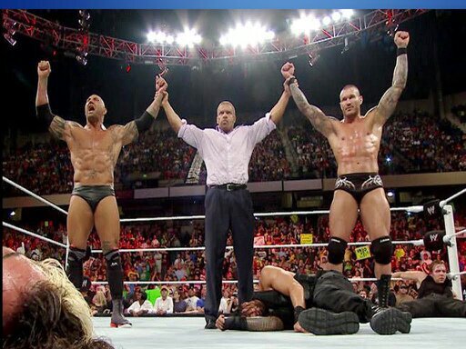 WWE wrestling fan