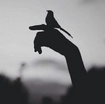 ‏‏‏‏‏ترى عيب عليك أحبك هالقد؟وما ألقى منك إلا الوجع.                              الهلال