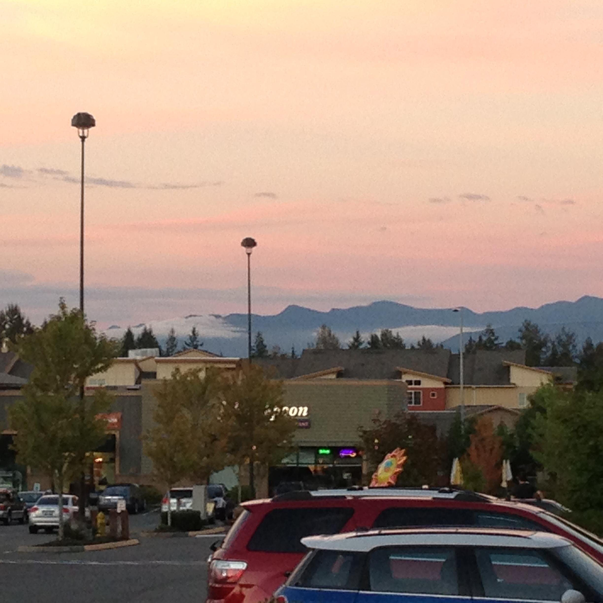 bonlmcb's profile picture. 