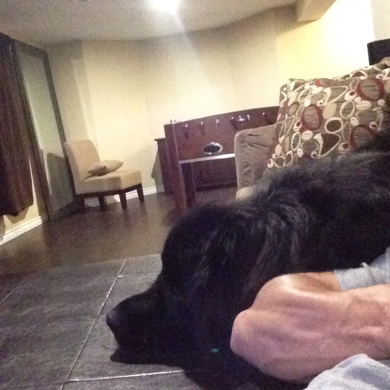 mlines86's profile picture. 