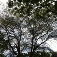 Hussain Haisham (@skyfad123) 's Twitter Profile