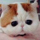 虎錠之助 (@1972_joe) Twitter