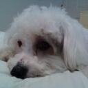 JurisJacket's profile picture. “no pain, no gain” … “if it was easy, everybody would do it” … “your main competition is yourself”