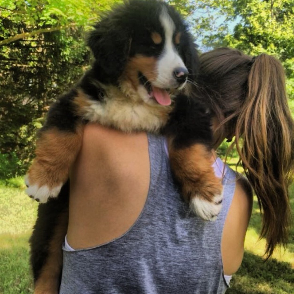 Jfina112's profile picture. 