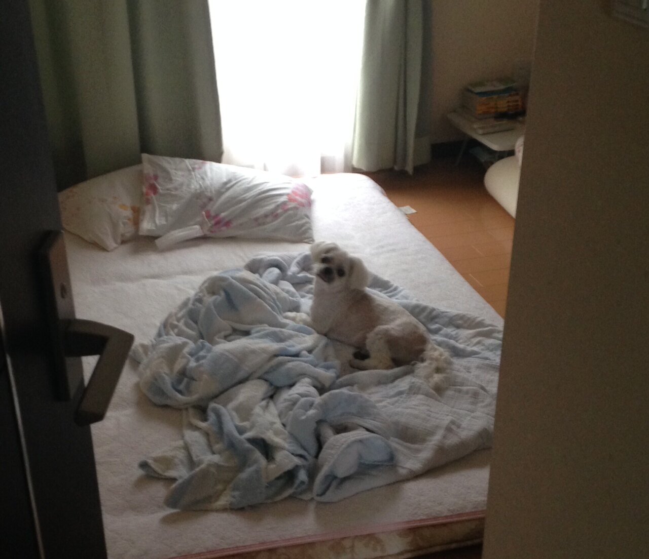 watari-wxy