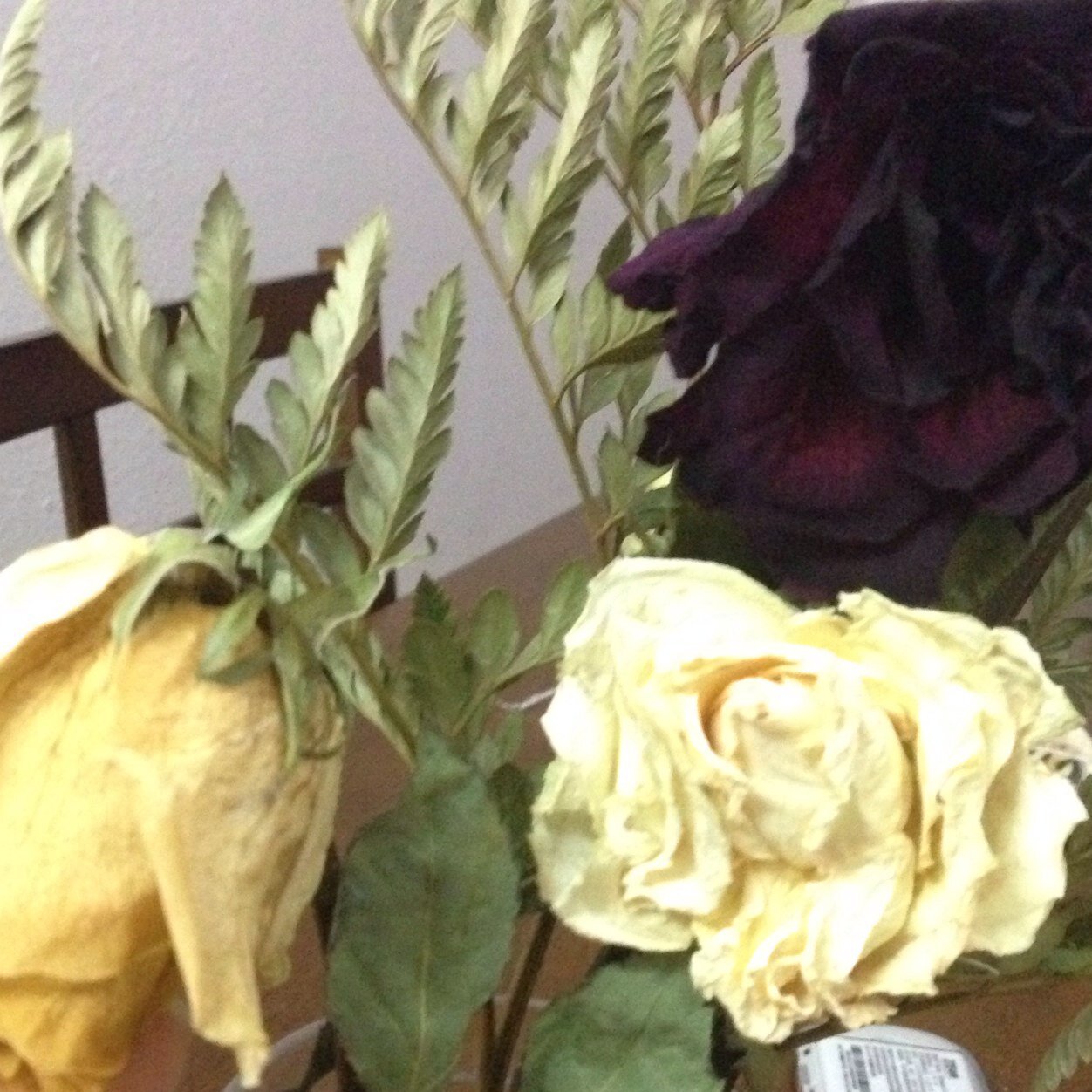 jassminharbi's profile picture. محبة لكل شي جميل💕