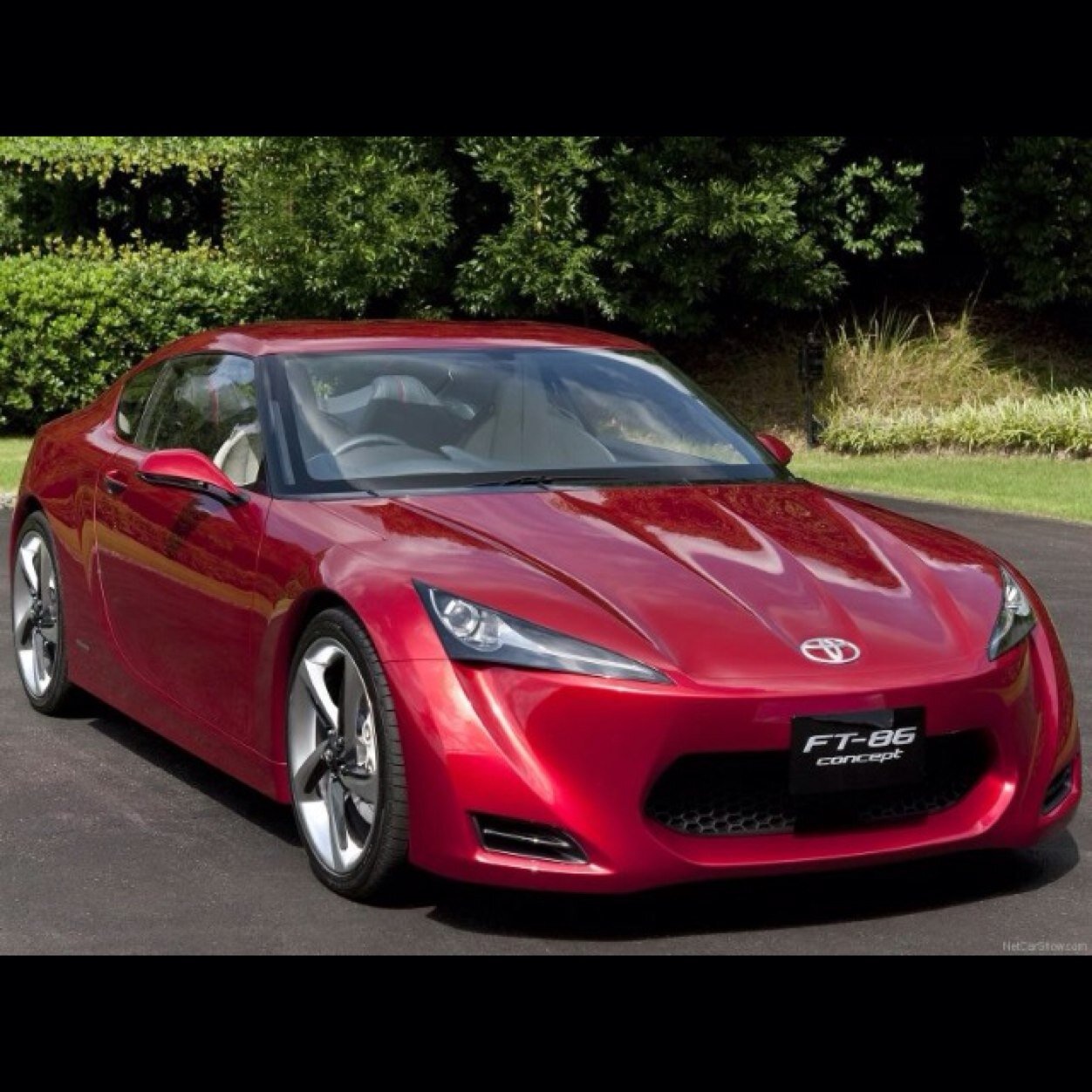 NifraNifras's profile picture. 